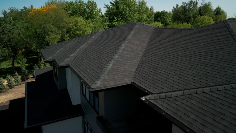 Best Roof Leak Repair  in Roseville, MN