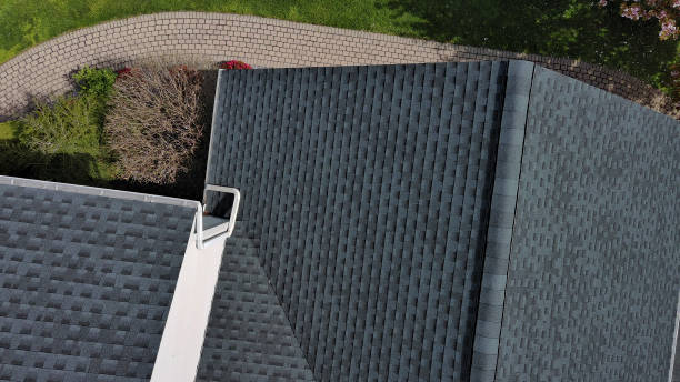 Best Solar Panel Roofing Installation  in Roseville, MN